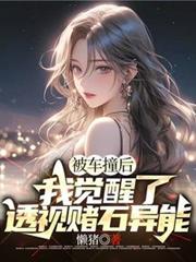 被车撞后,我觉醒了透视赌石异能 被车撞后,我觉醒了透视赌石异能